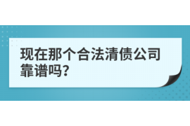 宁河如何避免债务纠纷？专业追讨公司教您应对之策